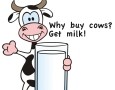 Milk Cow